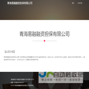 青海易融融资担保有限公司